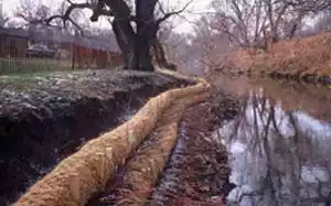 coir logs around stream