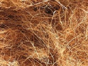 coconut coir fiber