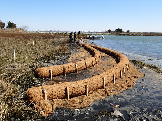 coir logs for bank stabilization