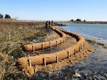 construction site coir logs