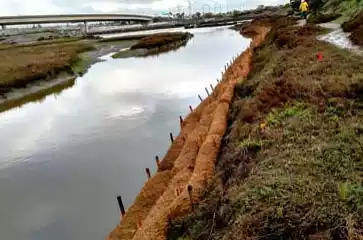 Coir logs placed along a riverbank to prevent erosion and stabilize the shoreline
