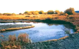 coir erosion control logs