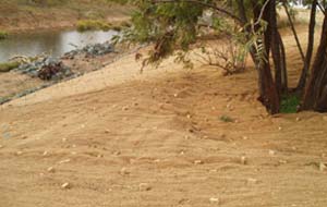 erosion control matting