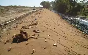 erosion control matting