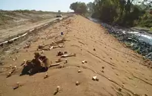 hillside coir erosion control matting