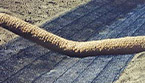 erosion sediment control