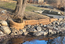 Erosion control products: cost effective alternatives for revegetation -  CoirGreen®