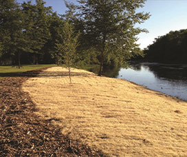 Excelsior matting laid down on a river bank for Erosion Control.