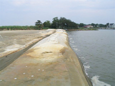 geotextile tube on the coast