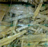 wheat straw erosion blanket